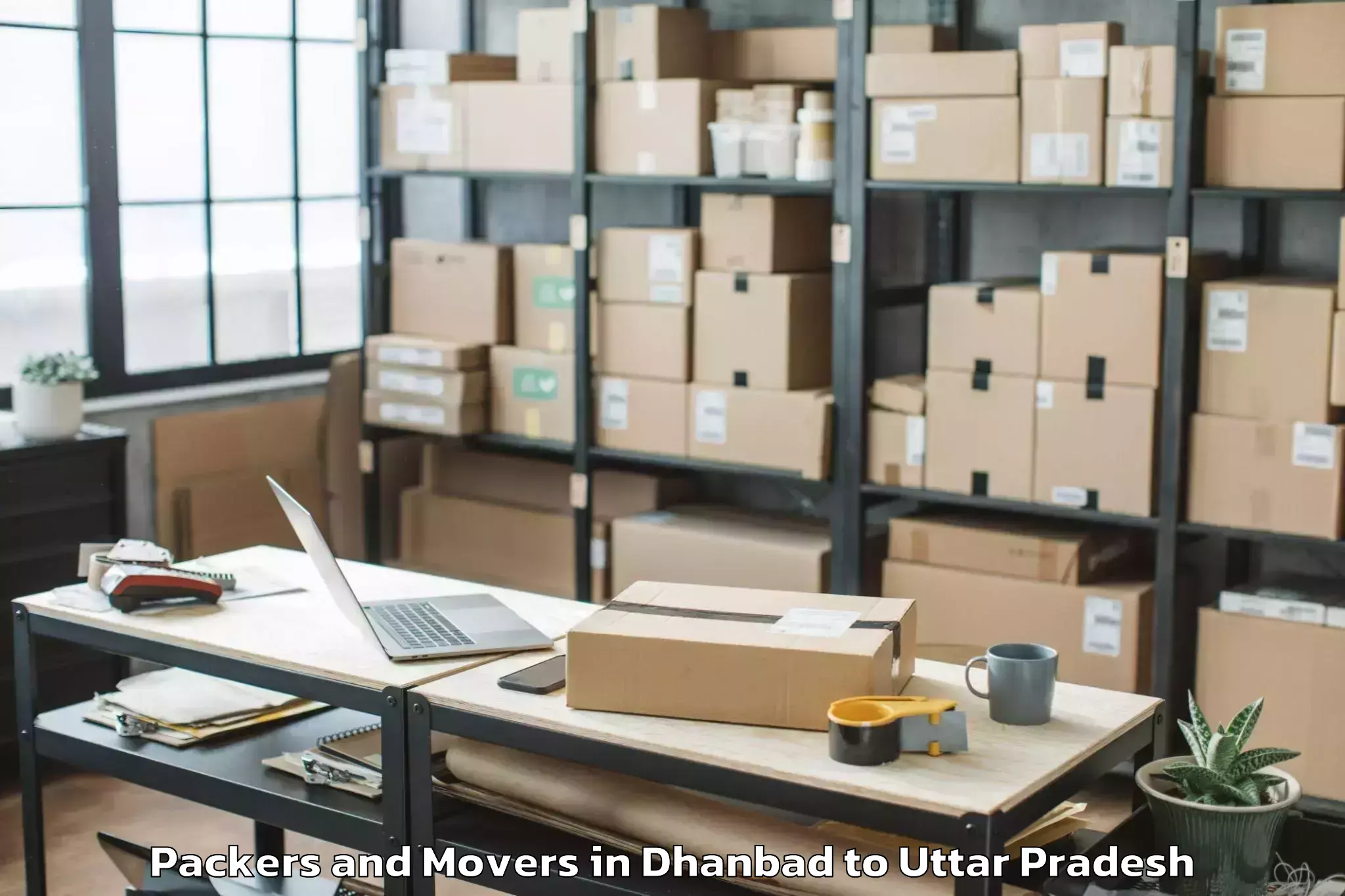 Trusted Dhanbad to Shiv Nadar University Dadri Packers And Movers